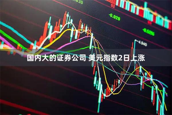 国内大的证券公司 美元指数2日上涨