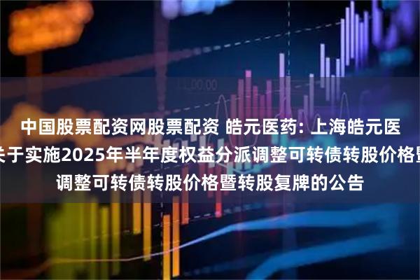 中国股票配资网股票配资 皓元医药: 上海皓元医药股份有限公司关于实施2025年半年度权益分派调整可转债转股价格暨转股复牌的公告