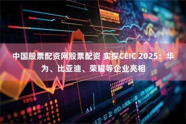 中国股票配资网股票配资 实探CEIC 2025：华为、比亚迪、荣耀等企业亮相