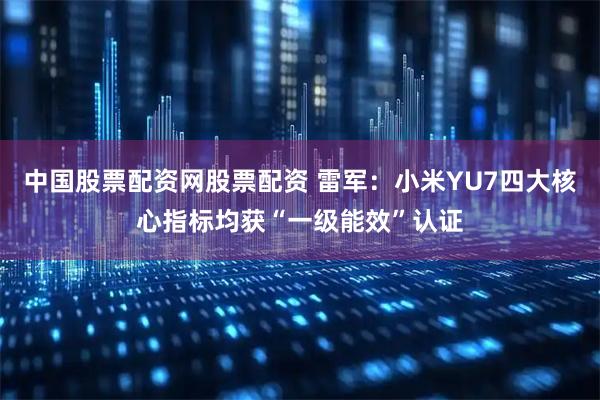 中国股票配资网股票配资 雷军：小米YU7四大核心指标均获“一级能效”认证