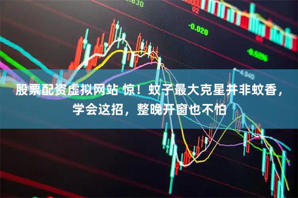 股票配资虚拟网站 惊！蚊子最大克星并非蚊香，学会这招，整晚开窗也不怕